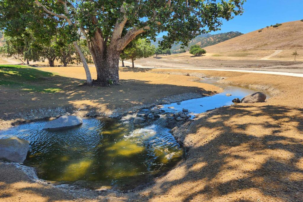 Rejuvenating the creek system at San Juan Oaks.