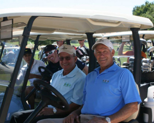 golfs in golf cart