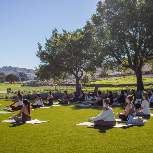 lawn-yoga-crop